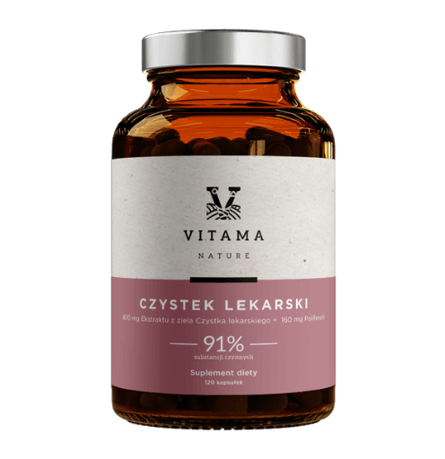 Czystek Lekarski Miniaturka